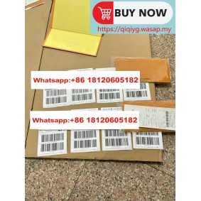 qiqiyg yupoo contact qiqiyg.com Fournisseur de dropshipping de vêtements en gros QQYG881